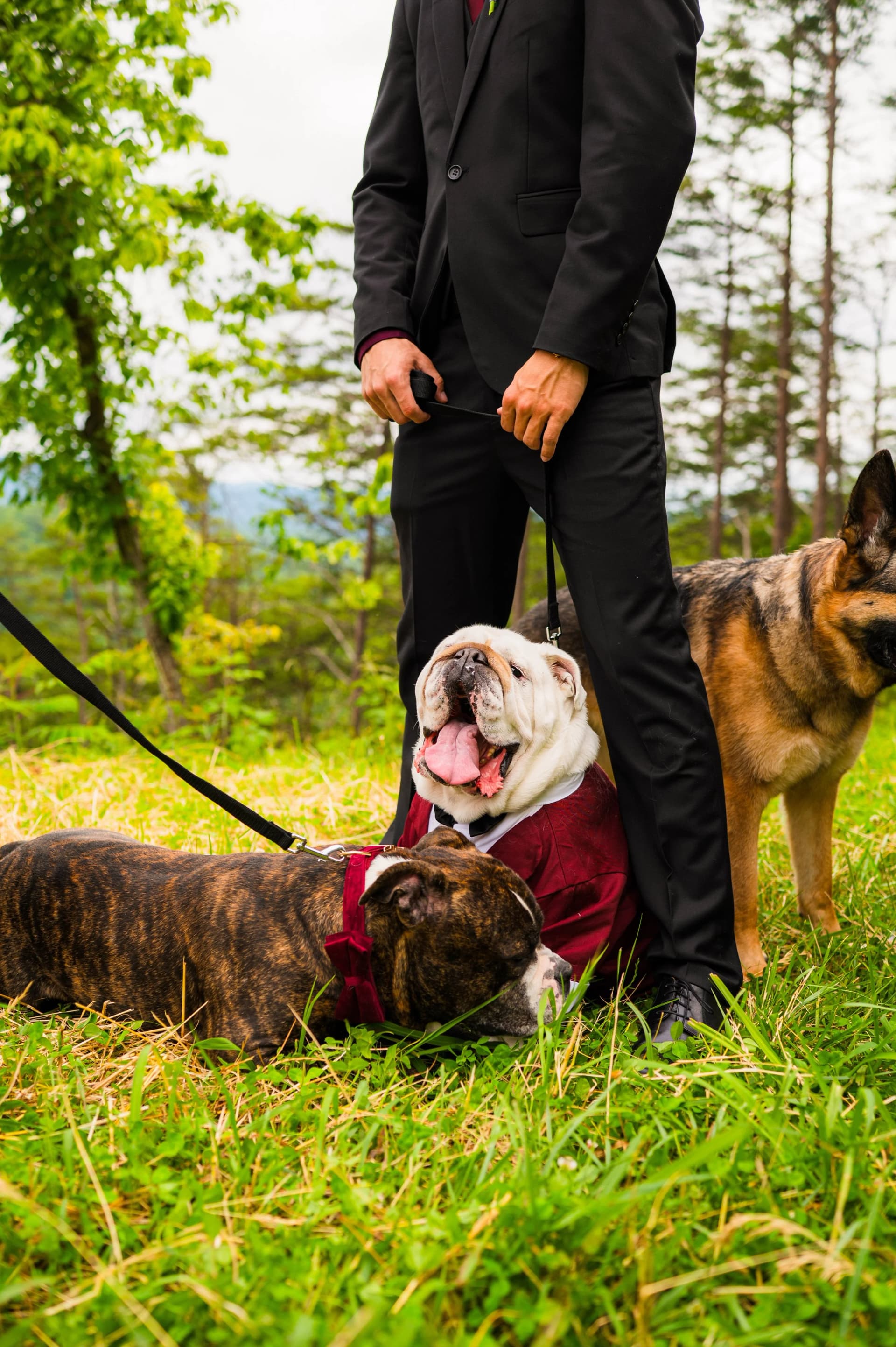 Foothills Parkway elopement photo 28