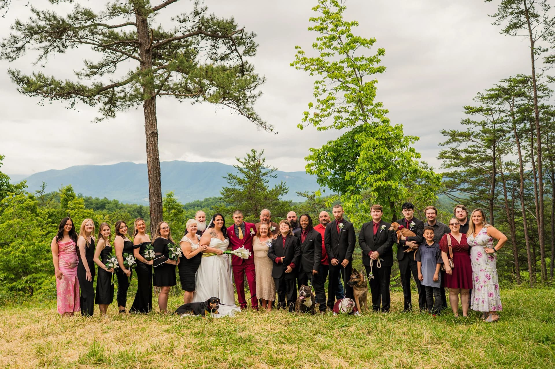Foothills Parkway elopement photo 63