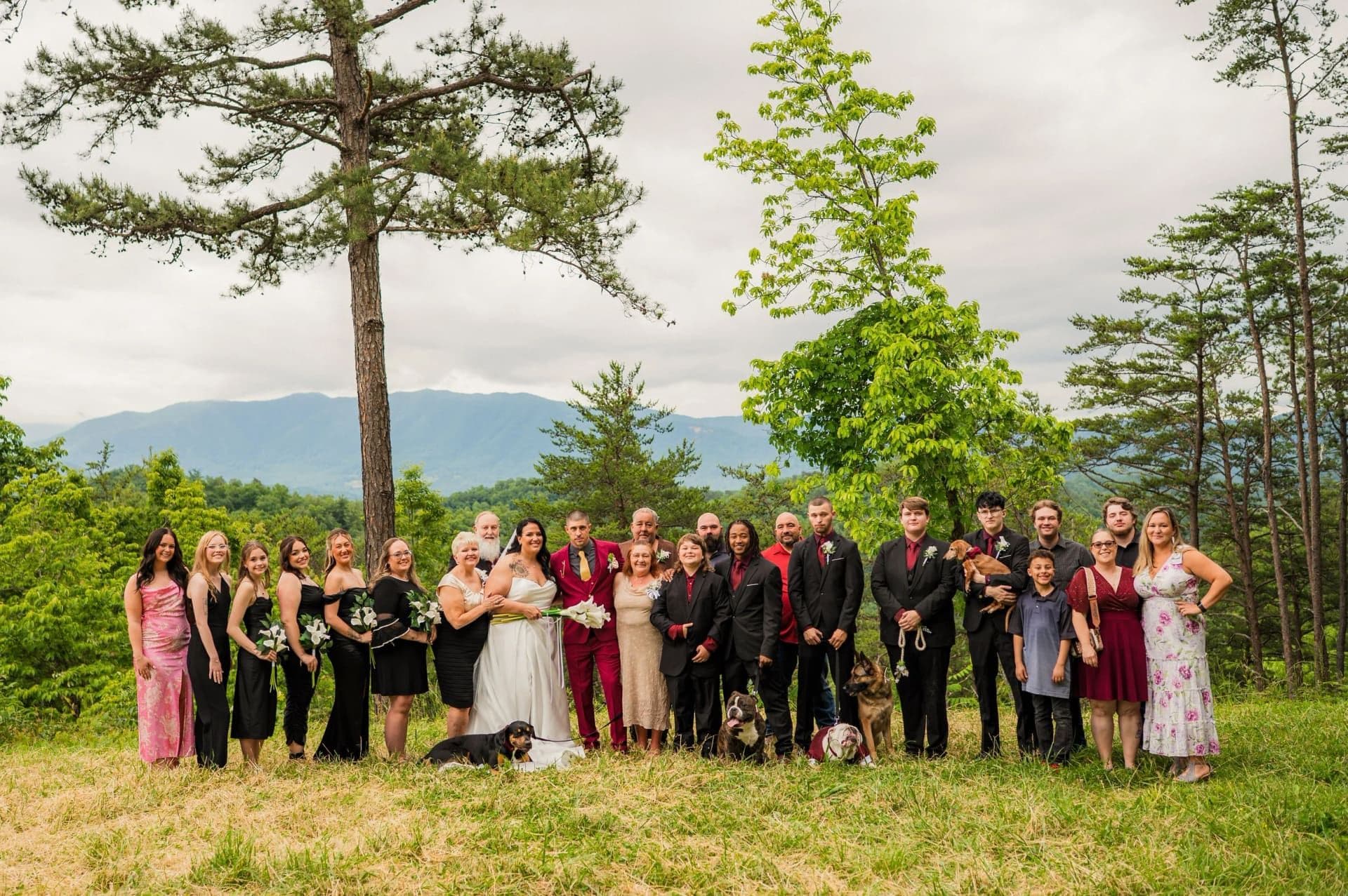 Foothills Parkway elopement photo 28