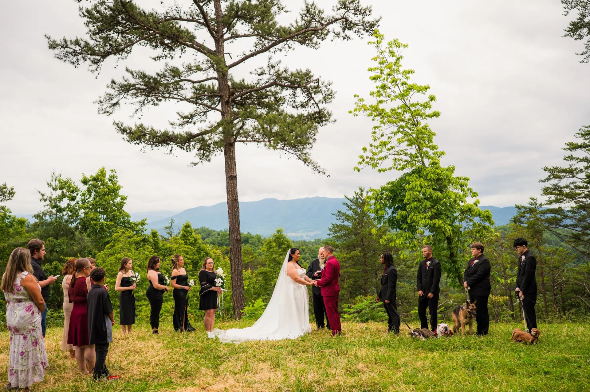 Foothills Parkway elopement photo 29