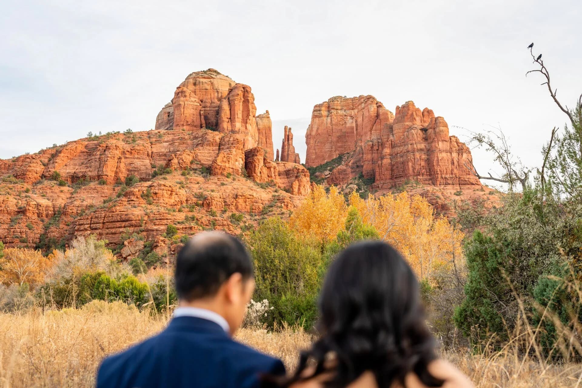 Crescent Moon Ranch elopement photo 19